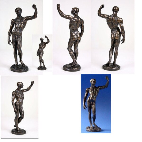 Male Nude Anatomical Study of Man by Houdon Statue Artist Casting